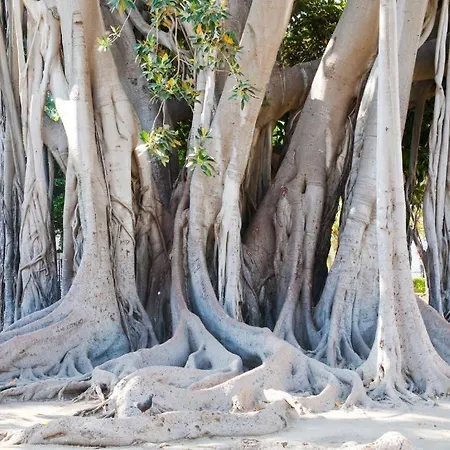 Ballaro 37 パレルモ